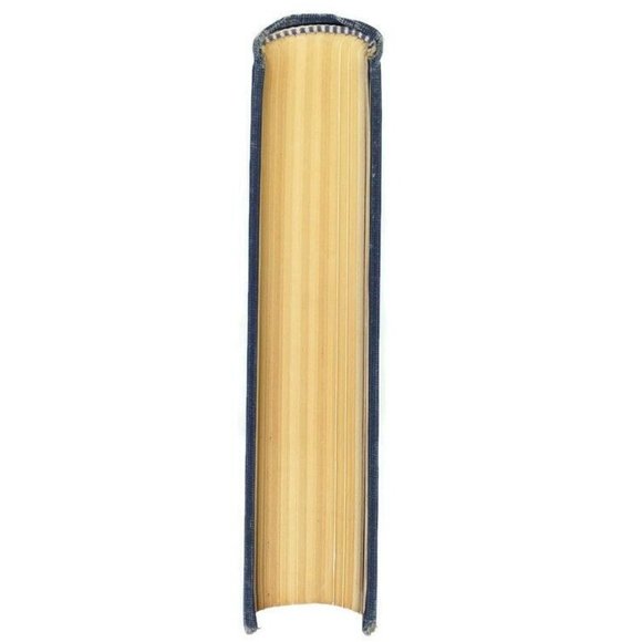 Vintage Citizen-Patriot, David I. Walsh Hardback Book - Picture 6 of 13